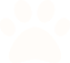 paw icon